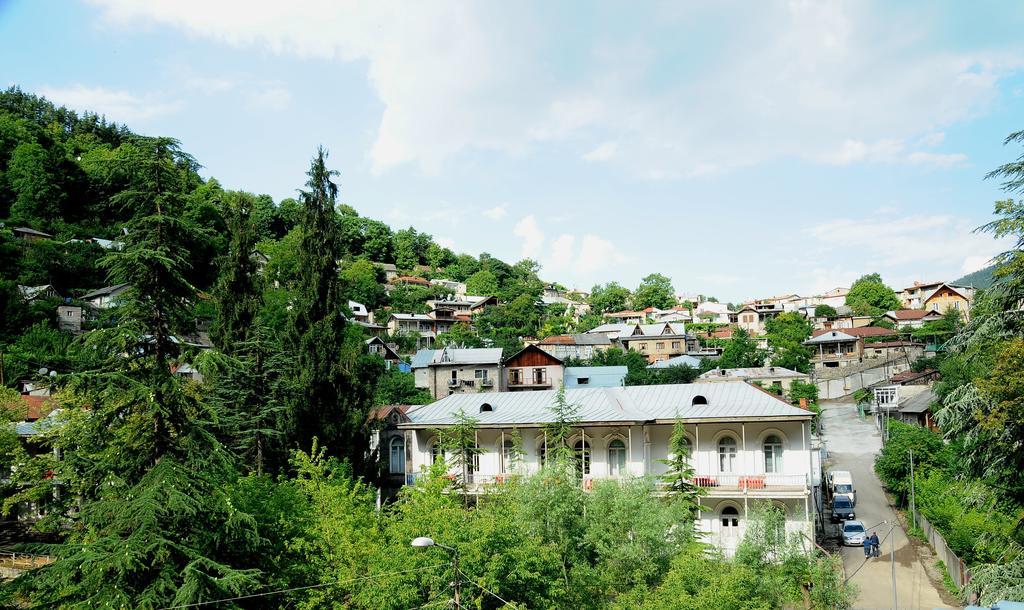 Alma-Ata Hotel Borjomi Dış mekan fotoğraf