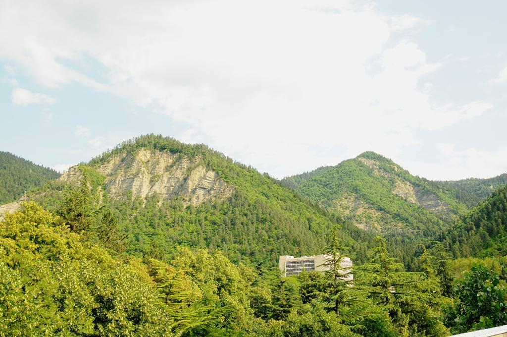 Alma-Ata Hotel Borjomi Dış mekan fotoğraf