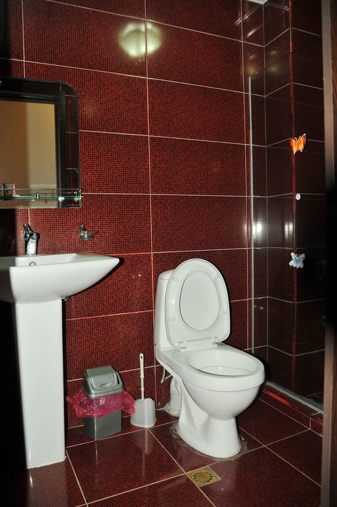 Alma-Ata Hotel Borjomi Dış mekan fotoğraf